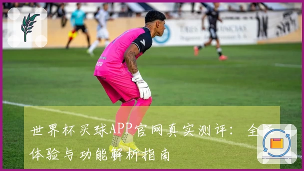 世界杯买球APP官网真实测评：全面体验与功能解析指南