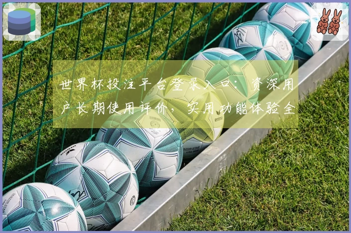 世界杯投注平台登录入口：资深用户长期使用评价，实用功能体验全方位指南