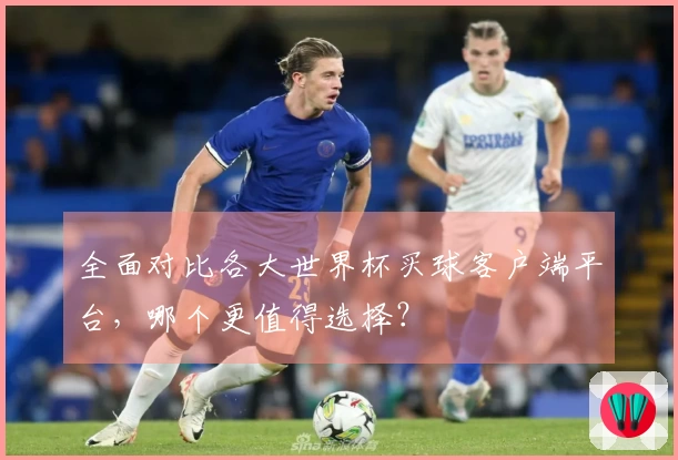 全面对比各大世界杯买球客户端平台，哪个更值得选择？