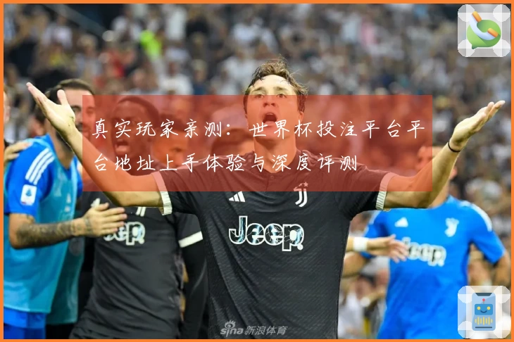 真实玩家亲测：世界杯投注平台平台地址上手体验与深度评测