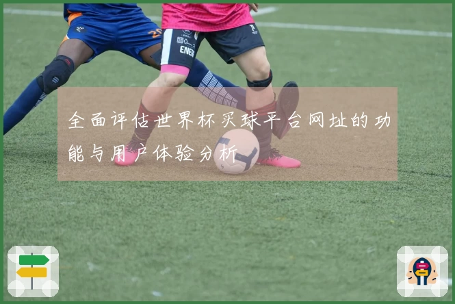 全面评估世界杯买球平台网址的功能与用户体验分析