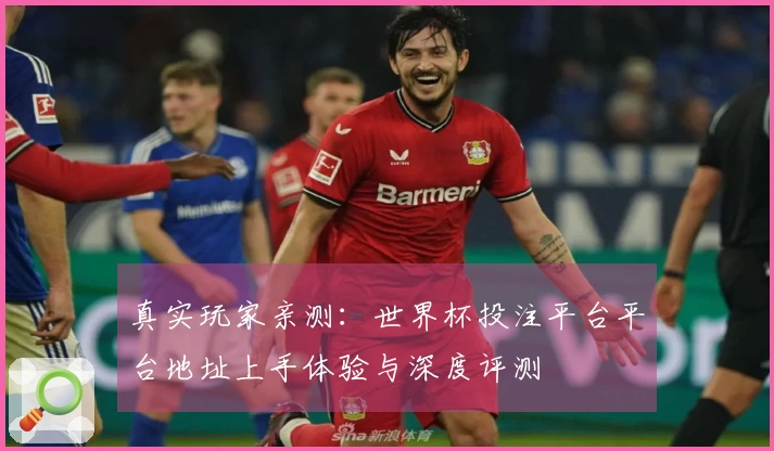 真实玩家亲测：世界杯投注平台平台地址上手体验与深度评测